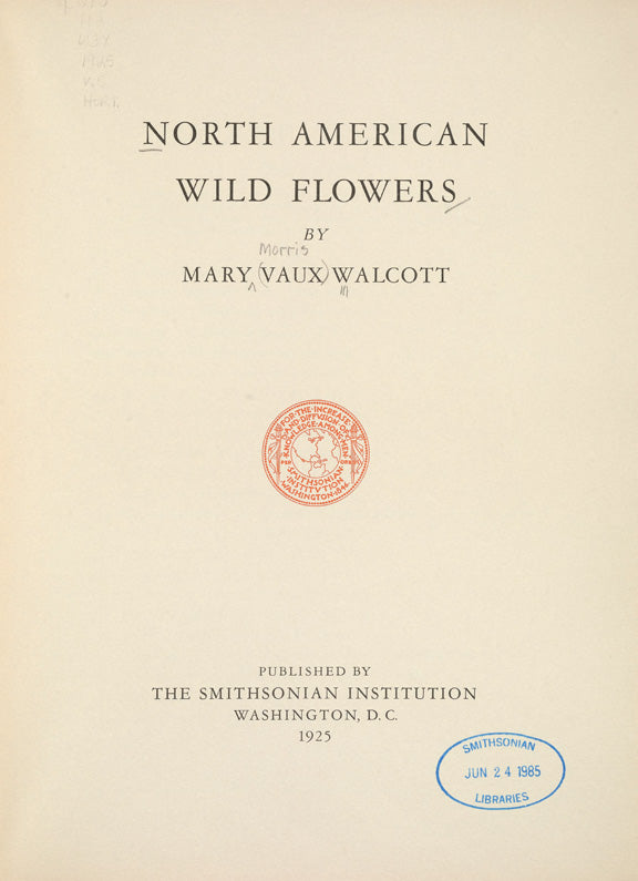 North American Wild Flowers Mary Vaux Walcott 1925