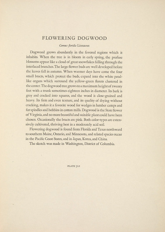 North American Wild Flowers Mary Vaux Walcott 1925