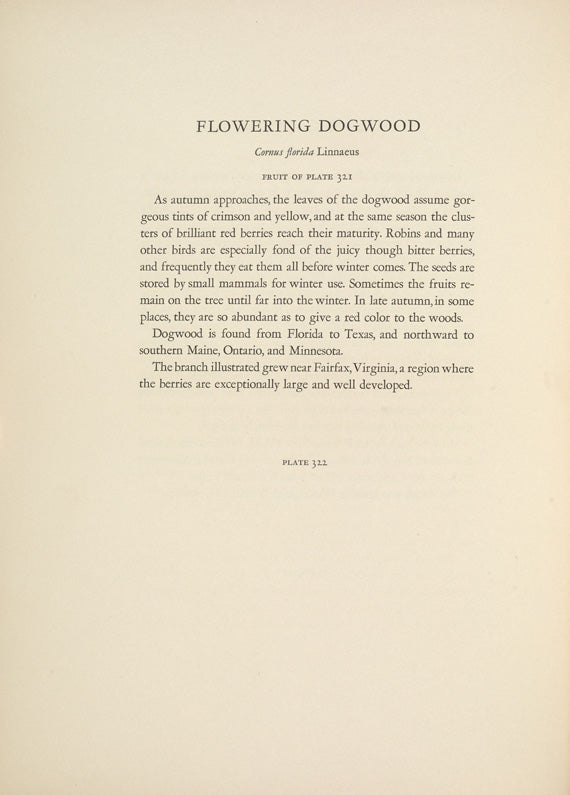 North American Wild Flowers Mary Vaux Walcott 1925