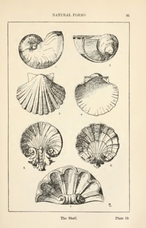 A handbook of ornament 1849