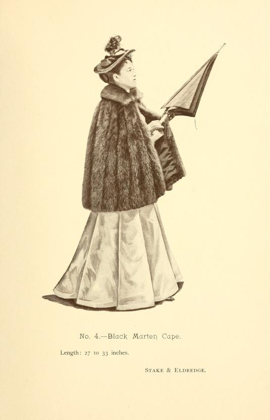 Fashions In Furs 1895