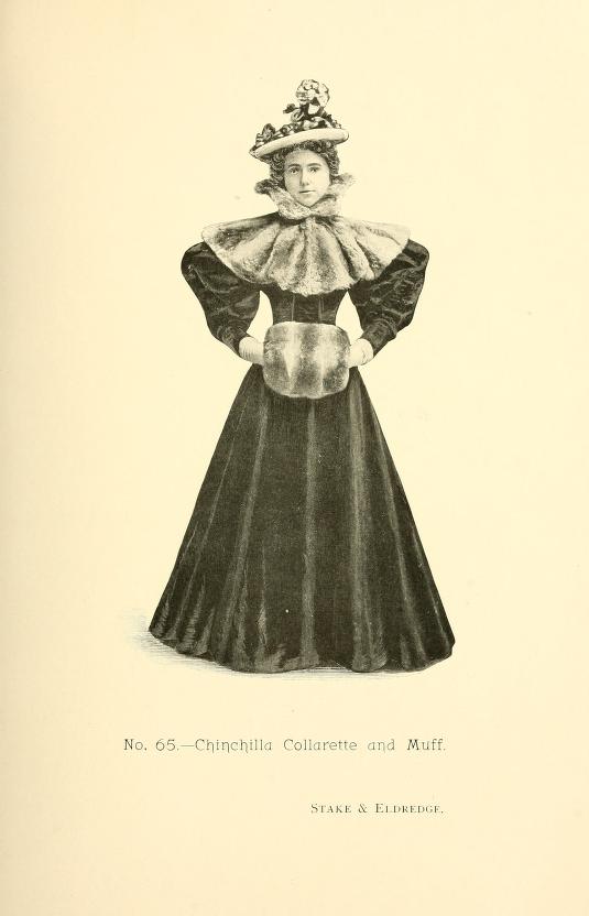 Fashions In Furs 1895