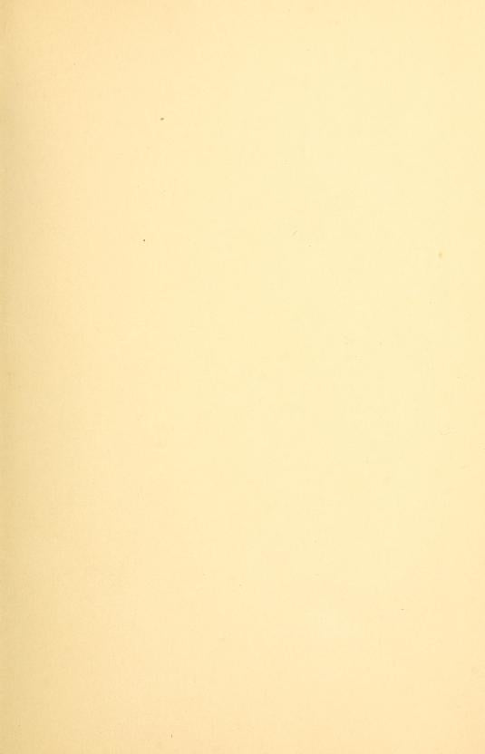 Fashions In Furs 1895