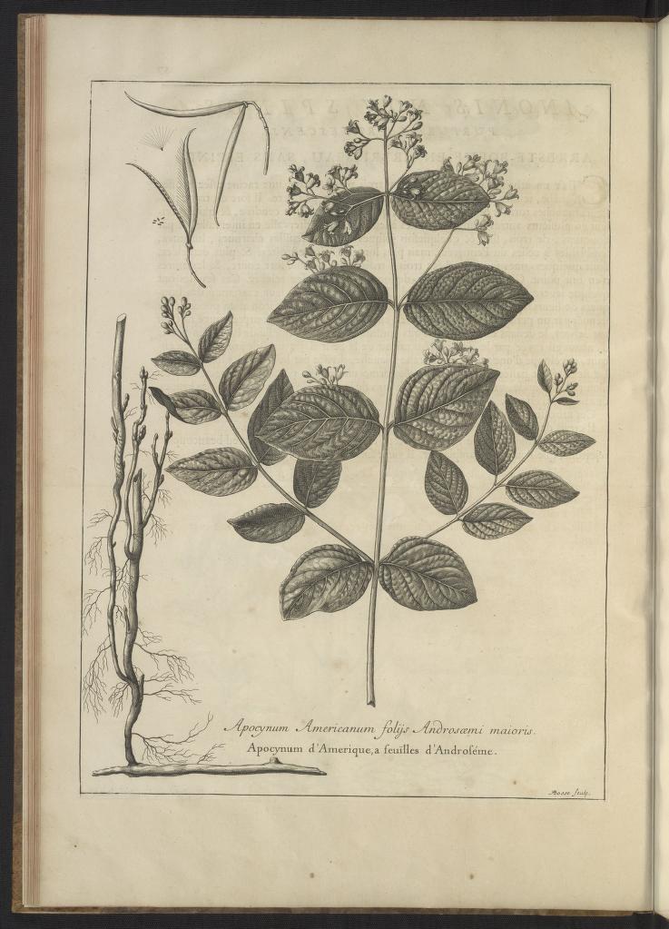 Mémoires pour servir à l'histoire des plantes 1676