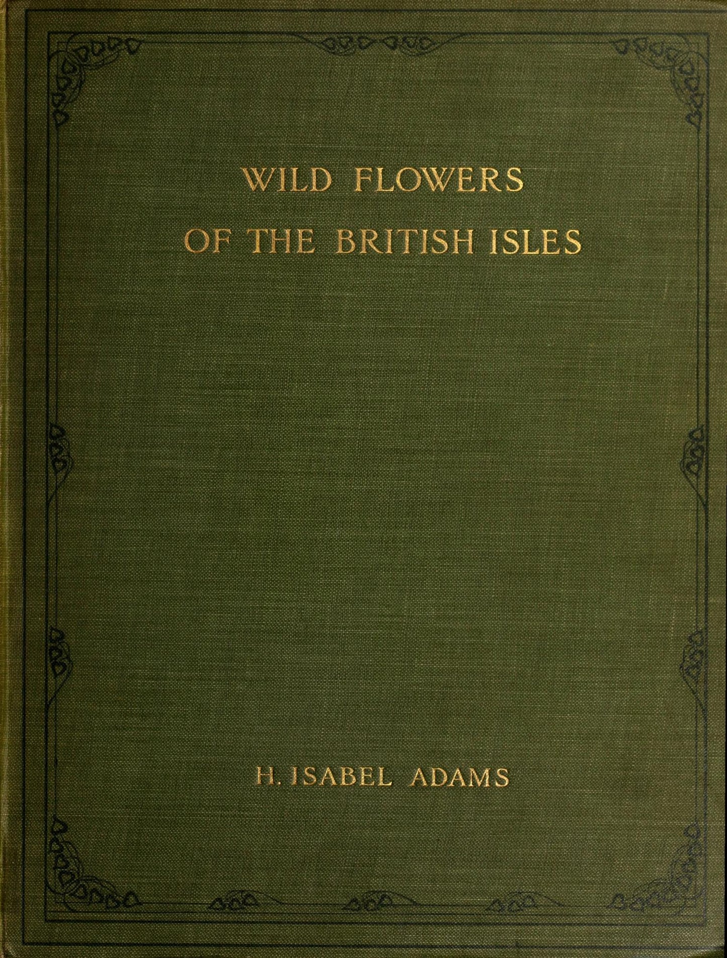 Wildflowers Of The British Isles 1907
