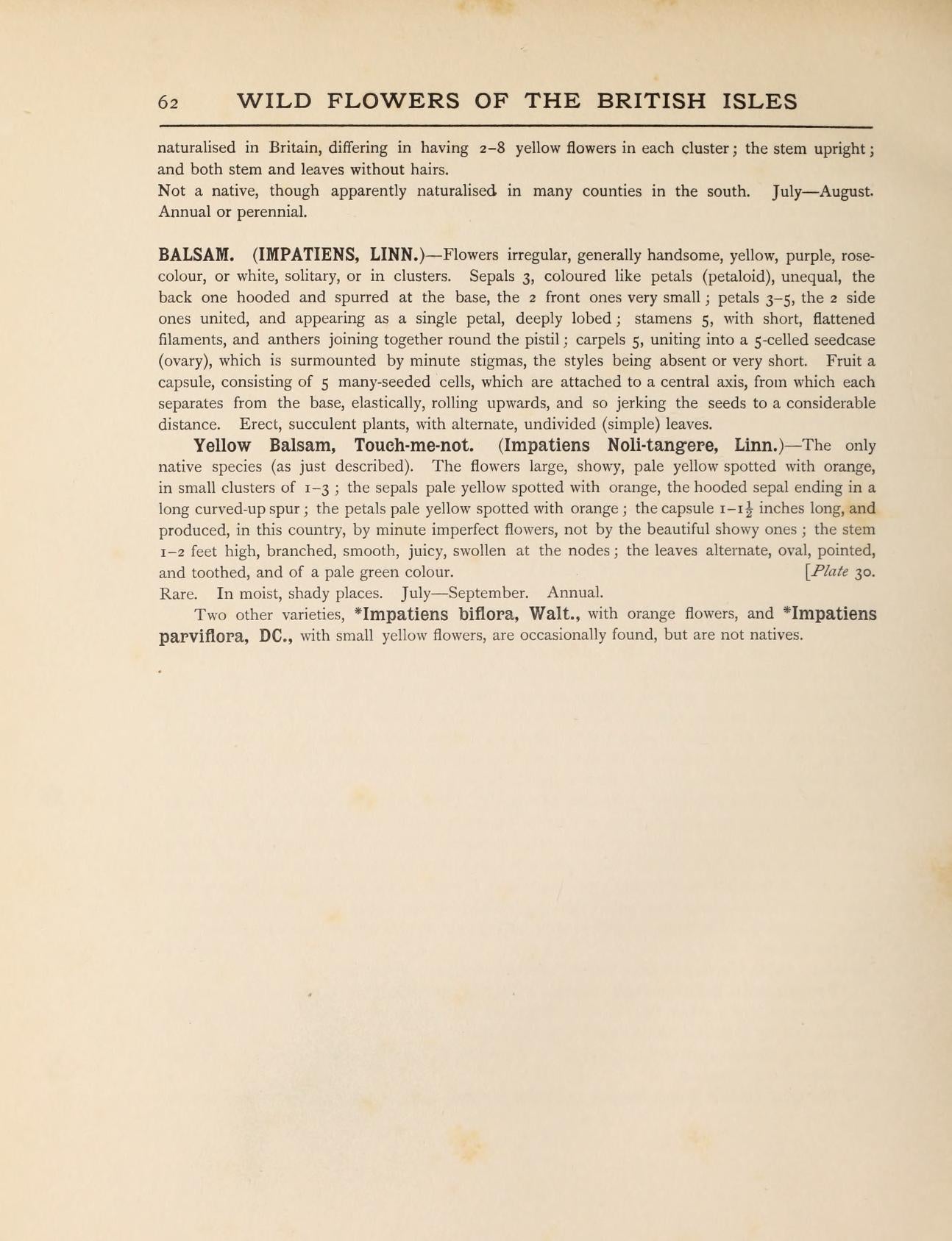 Wildflowers Of The British Isles 1907