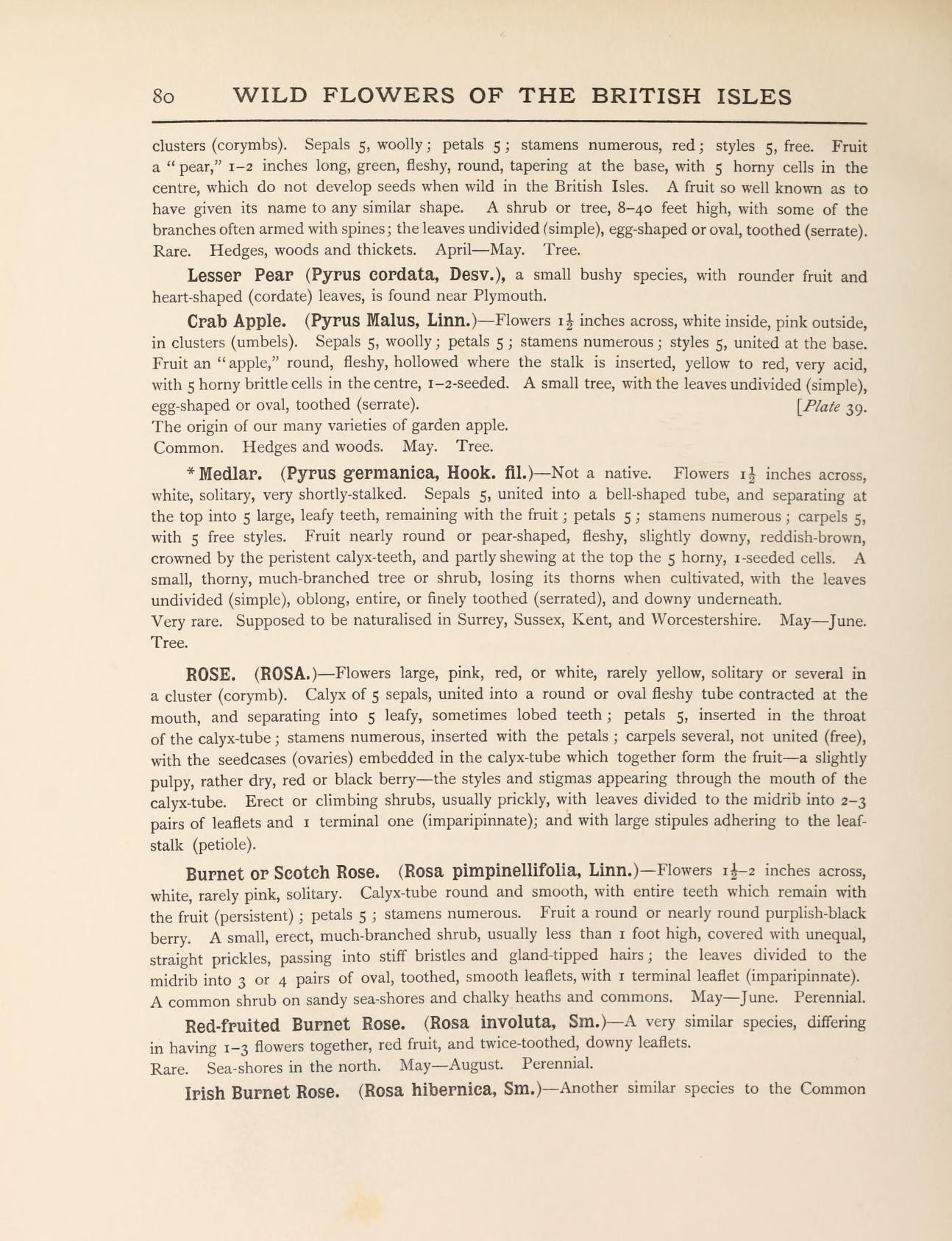 Wildflowers Of The British Isles 1907