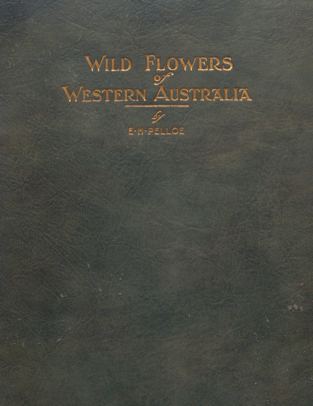 Wildflowers of Western Australia 1921