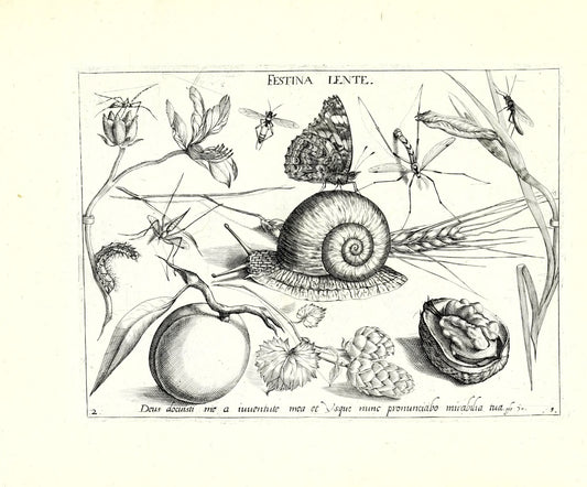 Archetypa stvdiaqve patris GeorgiI HoefnageliI - Hoefnagel, Joris 1592