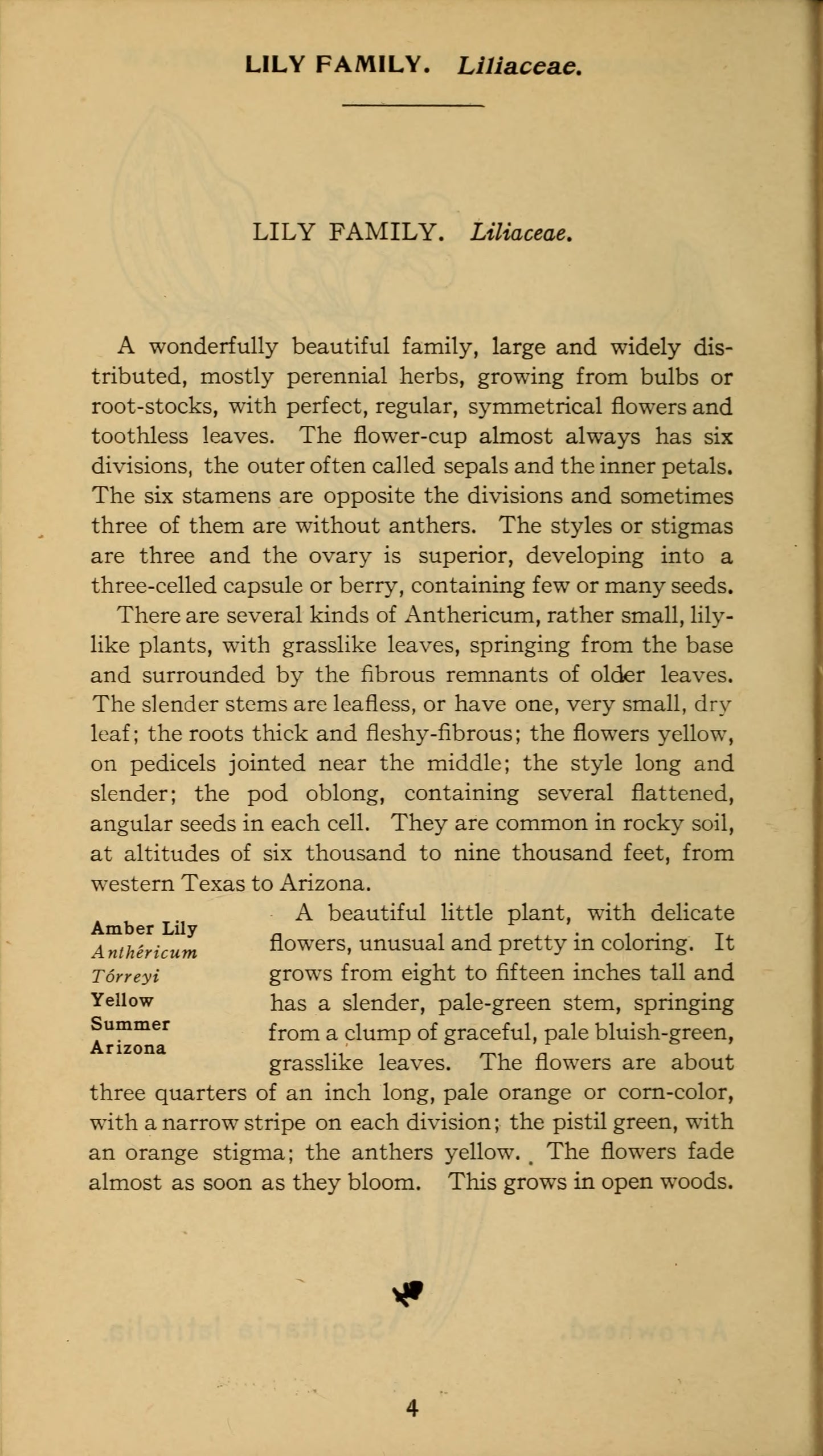 Field book of western wild flowers by Margaret Armstrong 1915