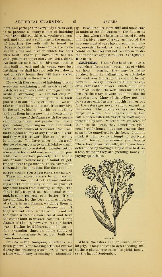 The ABC of bee culture: a cyclopaedia 1884