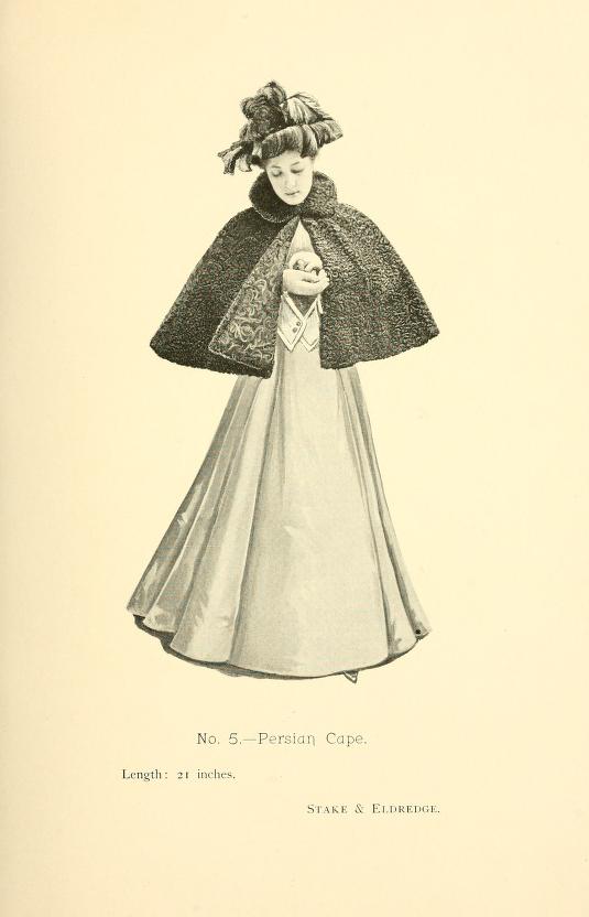 Fashions In Furs 1895