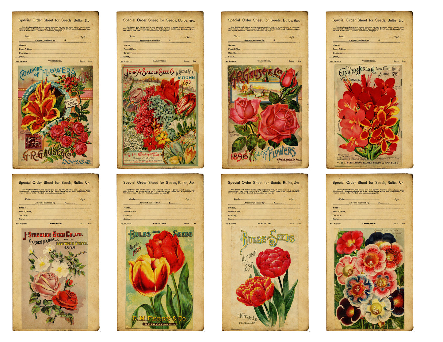 40 Vintage Seed Catalogue Labels, Flowers, Digital Labels Printables, Vintage, Labels, Papers For Crafts, Scrapbook, Junk Journal - PDF Only